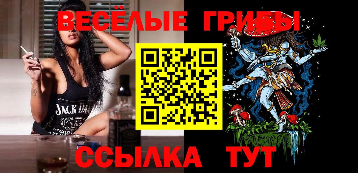 как найти закладки  Галлюциногенные грибы Cubensis  Вход с VPN  Горно-Алтайск 